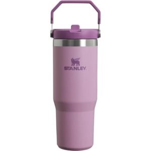 STANLEY IceFlow Stainless Steel Tumbler with Straw, Vacuum Insulated Water Bottle for Home, Office or Car, Reusable Cup with Straw Leak Resistant Flip