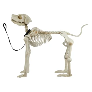 60 Inch White Skeleton Dog, Halloween Decoration, by Way to Celebrate